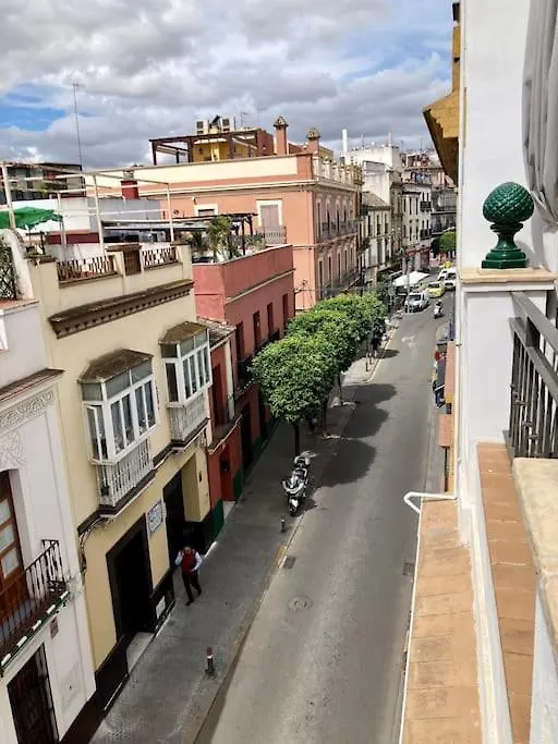 Exclusiva Casa Con Terraza Villa Sevilla